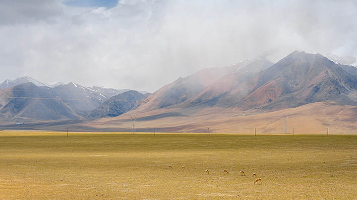 图片[2]-刚想看叶卡捷琳娜俄剧免费，同事甩过来的链接绝了-影视狐