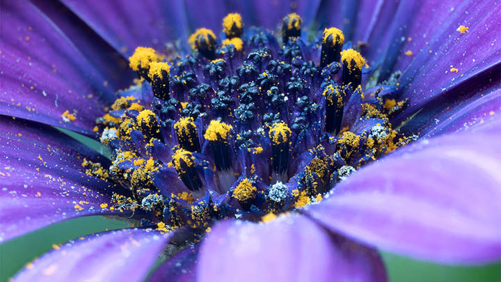 叶卡捷琳娜俄剧超清版，值得一看还是浪费时间？-影视狐