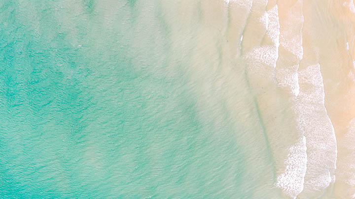 图片[2]-备受关注的叶卡捷琳娜二世电视剧，想了解更多？快来百度百科查查！-影视狐