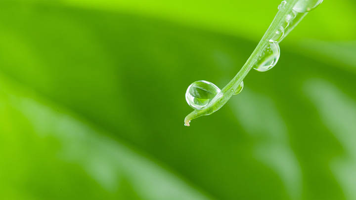 图片[2]-揭开历史的谜团，叶卡捷琳娜二世的下一位究竟是谁？-影视狐