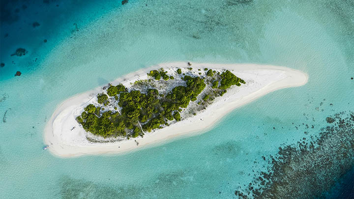 关于叶卡捷琳娜二世，你绝对想不到的秘密就在这里！-影视狐