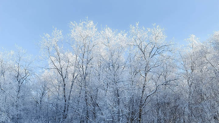 俄国的女皇叶卡捷琳娜，如何在风云变幻的时代改变了历史的轨迹？-影视狐