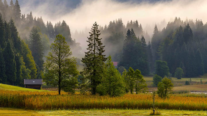 这个秘密，你知道叶卡捷琳娜大帝俄剧到底有几季吗？-影视狐