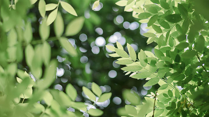 图片[2]-叶卡捷琳娜大帝第四季结局背后的秘密，你准备好揭晓了吗？-影视狐