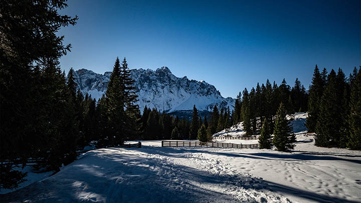 图片[2]-探索叶卡捷琳娜二世的荧幕魅力，她究竟由谁来演绎？-影视狐