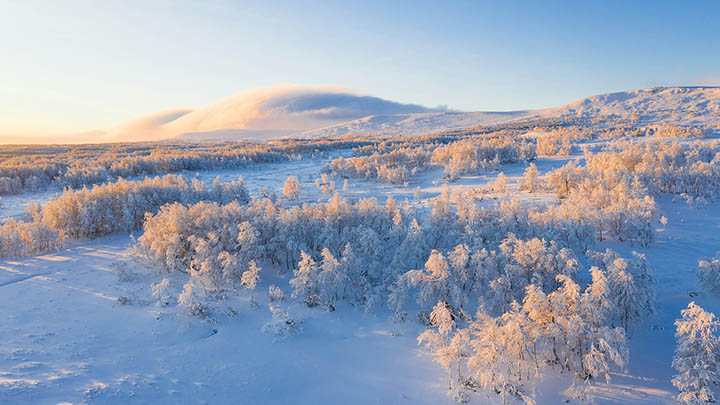 叶卡捷琳娜二世到底有多厉害？你绝对想不到的秘密！-影视狐