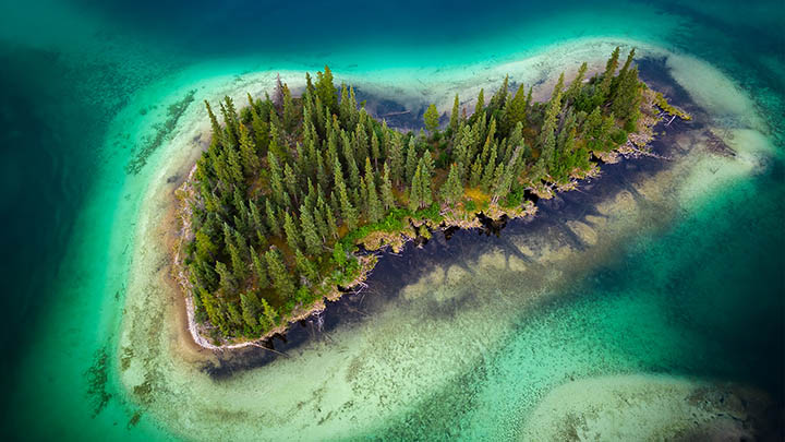 图片[2]-揭秘叶卡捷琳娜二世在位作为背后的权力游戏与历史智慧-影视狐