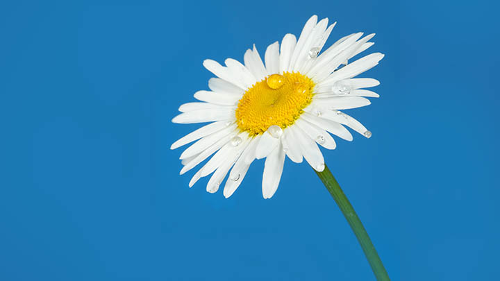 图片[2]-你知道吗？这位叶卡捷琳娜的扮演者竟然有这样的精彩瞬间！-影视狐