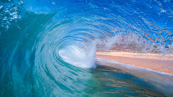 叶卡捷琳娜究竟是哪里人？这背后隐藏着不为人知的秘密！-影视狐