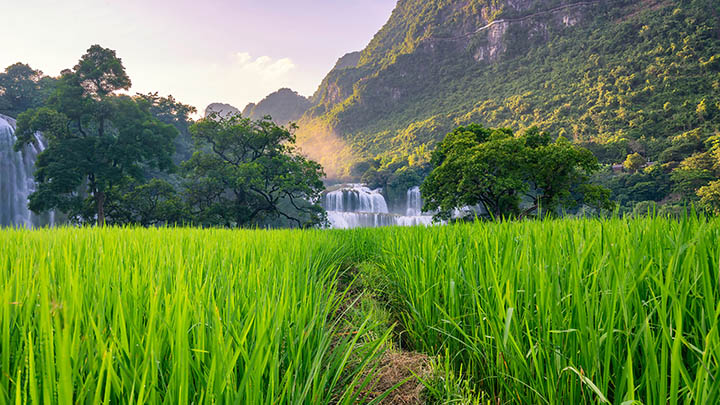图片[2]-叶卡捷琳娜大帝第一季：这部俄剧竟揭开了历史背后不为人知的故事！-影视狐
