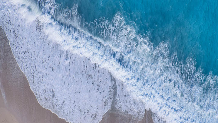 图片[2]-电影叶卡捷琳娜美版究竟有什么不同？在线看精彩剧情！-影视狐