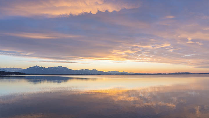 揭秘叶卡捷琳娜大帝电影背后的历史，百度百科带你深度了解！-影视狐