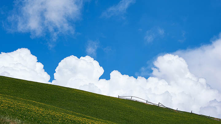 这部电视剧，让你更了解叶卡捷琳娜二世的传奇人生！-影视狐