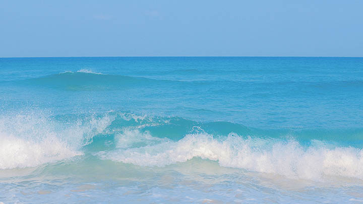 图片[2]-这部电视剧，让你更了解叶卡捷琳娜二世的传奇人生！-影视狐