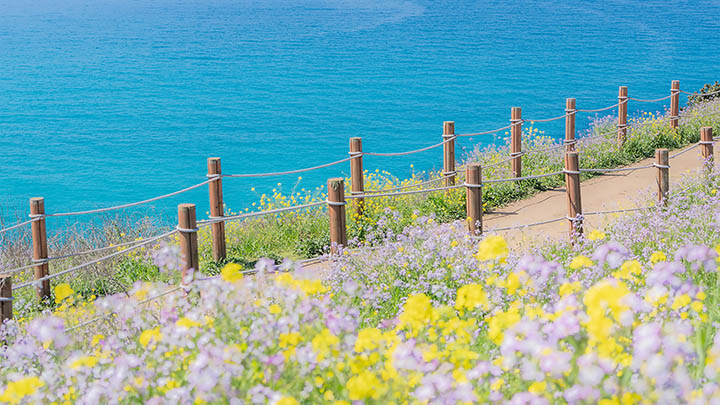 想一探究竟吗？叶卡捷琳娜二世电影完整版带你走进历史的秘密世界！-影视狐