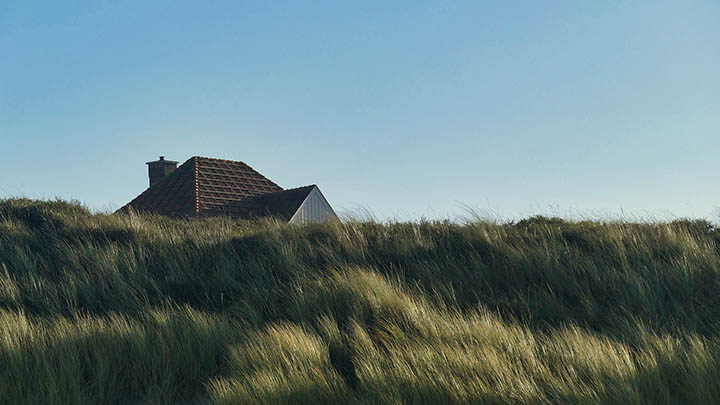 我在家免费观看叶卡捷琳娜，竟然收获了这么多感动！-影视狐