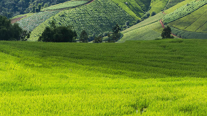这位叶卡捷琳娜，为什么她的美丽让人一见倾心？-影视狐