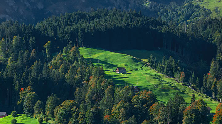 叶卡捷琳娜大帝：如何免费观看这部精彩俄剧？-影视狐