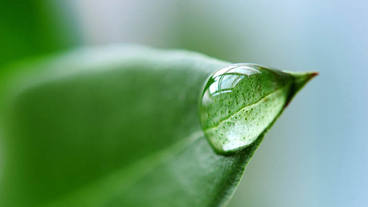 叶卡捷琳娜二世的纷争与权谋，俄剧免费播放，剧情太精彩了！-影视狐