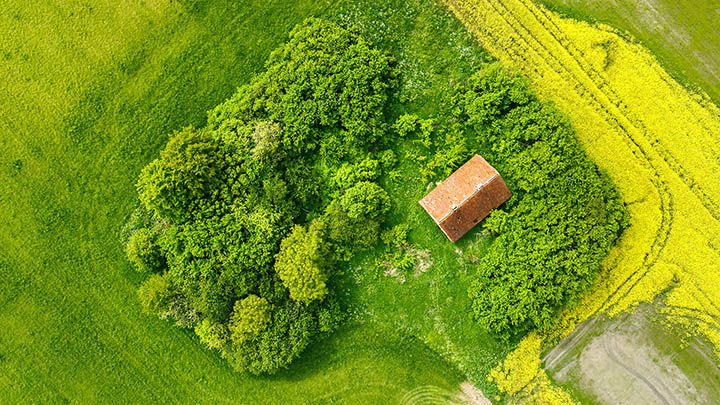 这首叶卡捷琳娜主题曲，却藏着你不知道的故事！-影视狐