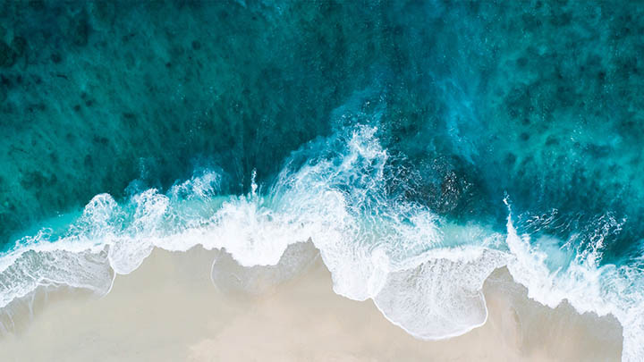 叶卡捷琳娜电影网页盛况如何，你会选择在线看还是影院体验?-影视狐