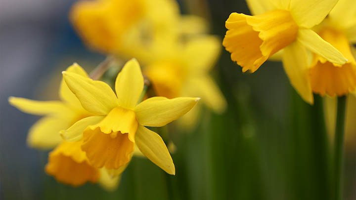 图片[2]-你知道吗？叶卡捷琳娜电影演员表背后隐藏的惊人秘密！-影视狐