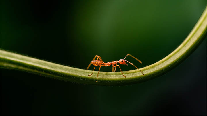 图片[2]-看完叶卡捷琳娜一季，我为她的命运心碎了！你呢？-影视狐