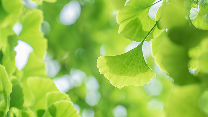 叶卡捷琳娜到底是什么人？她的故事鲜为人知！-影视狐